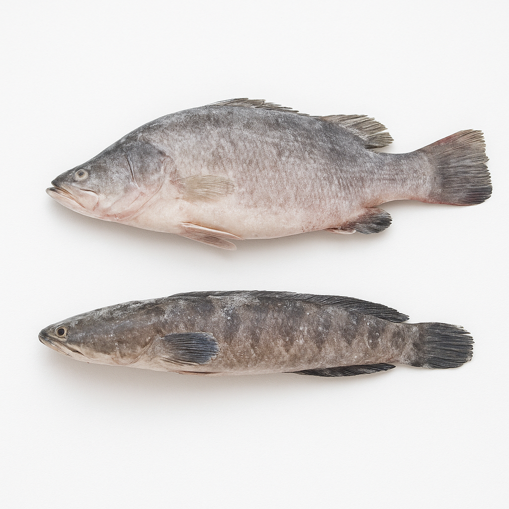 Visual category for product Frozen salmonidae (excl. Pacific, Atlantic, Dan