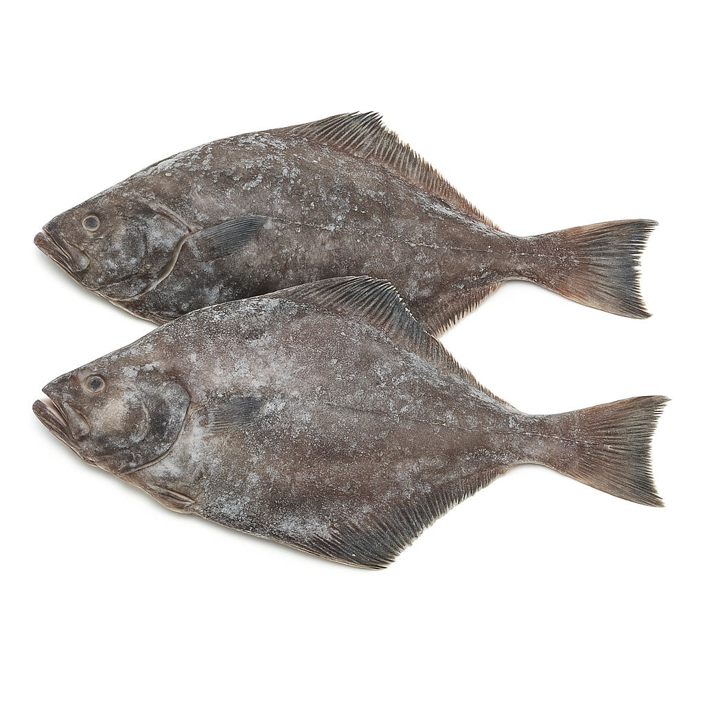 Visual category for product Frozen halibut