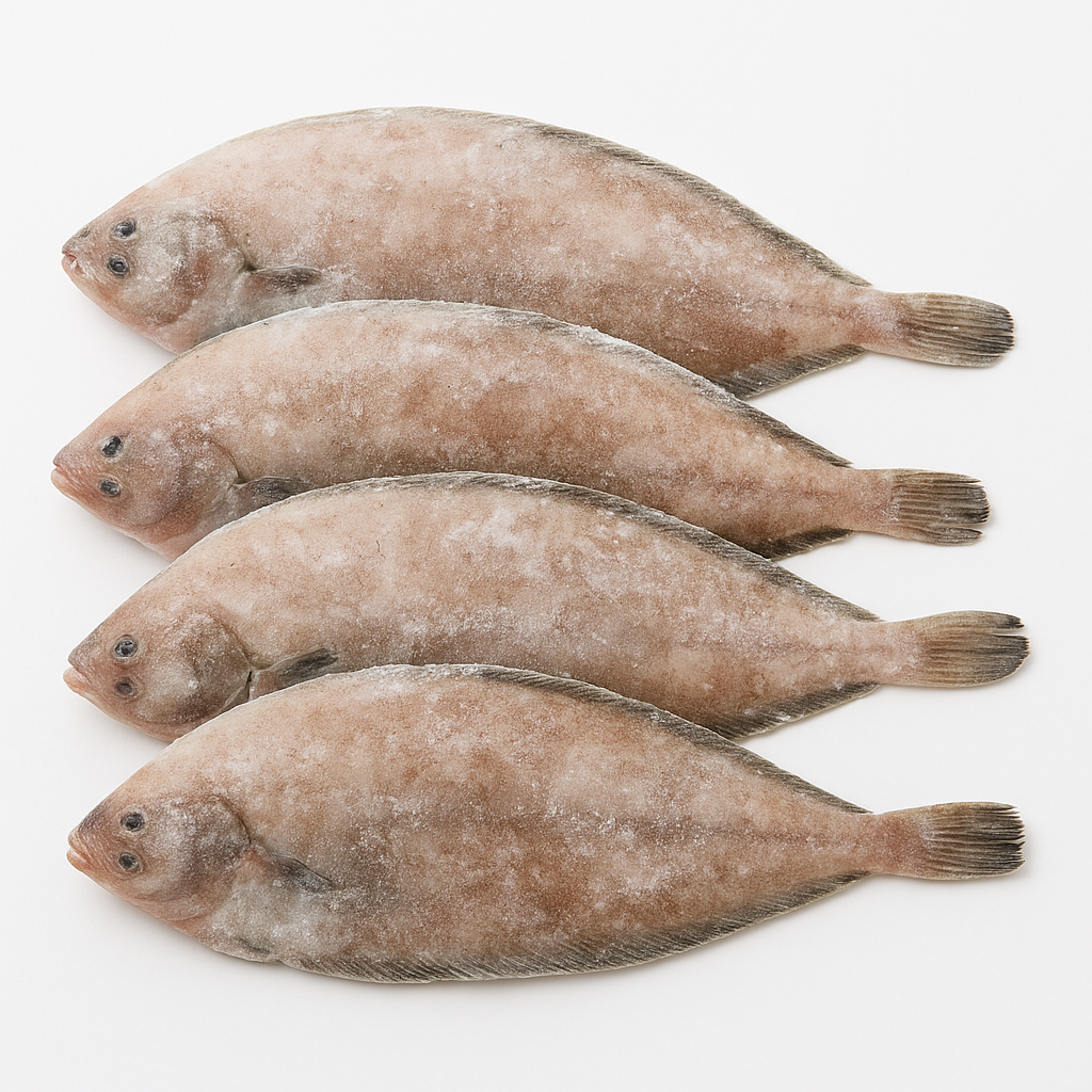 Visual category for product Frozen sole