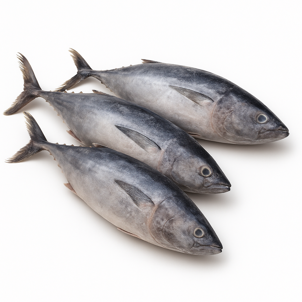 Visual category for product Frozen tunas, nes