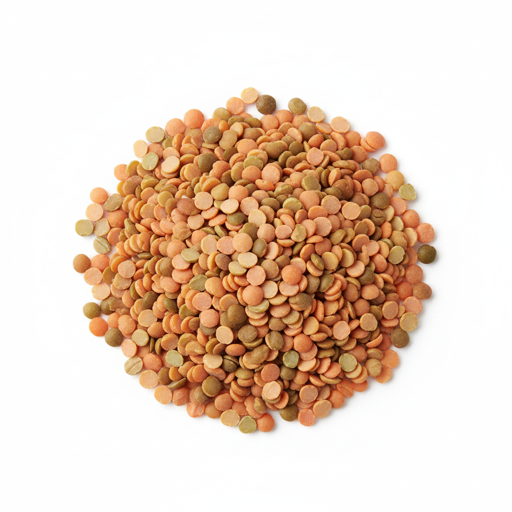 Visual category for product Dried lentils, shelled